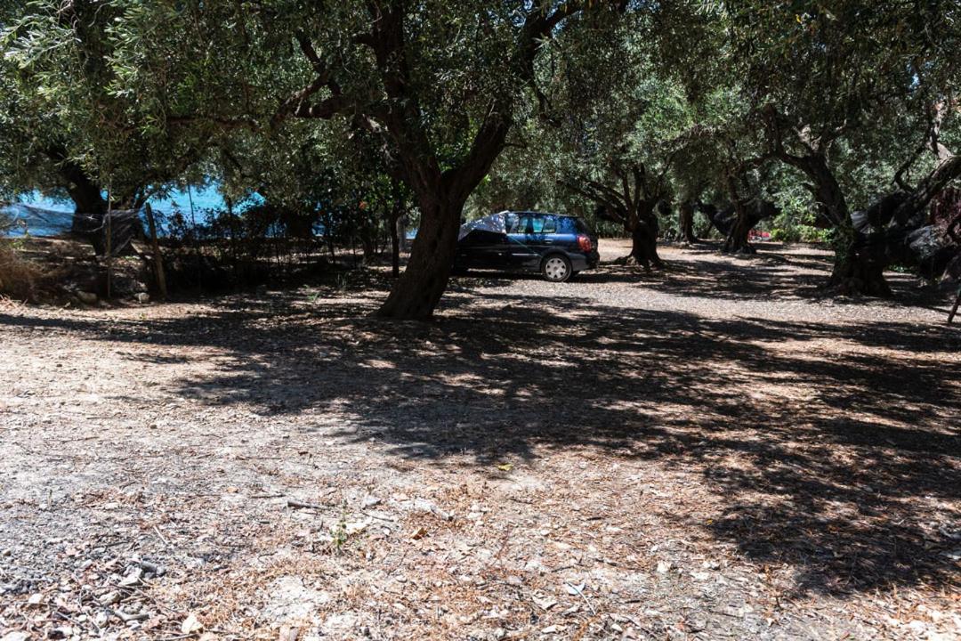 Olive Tree Villa Lygia  Exteriör bild