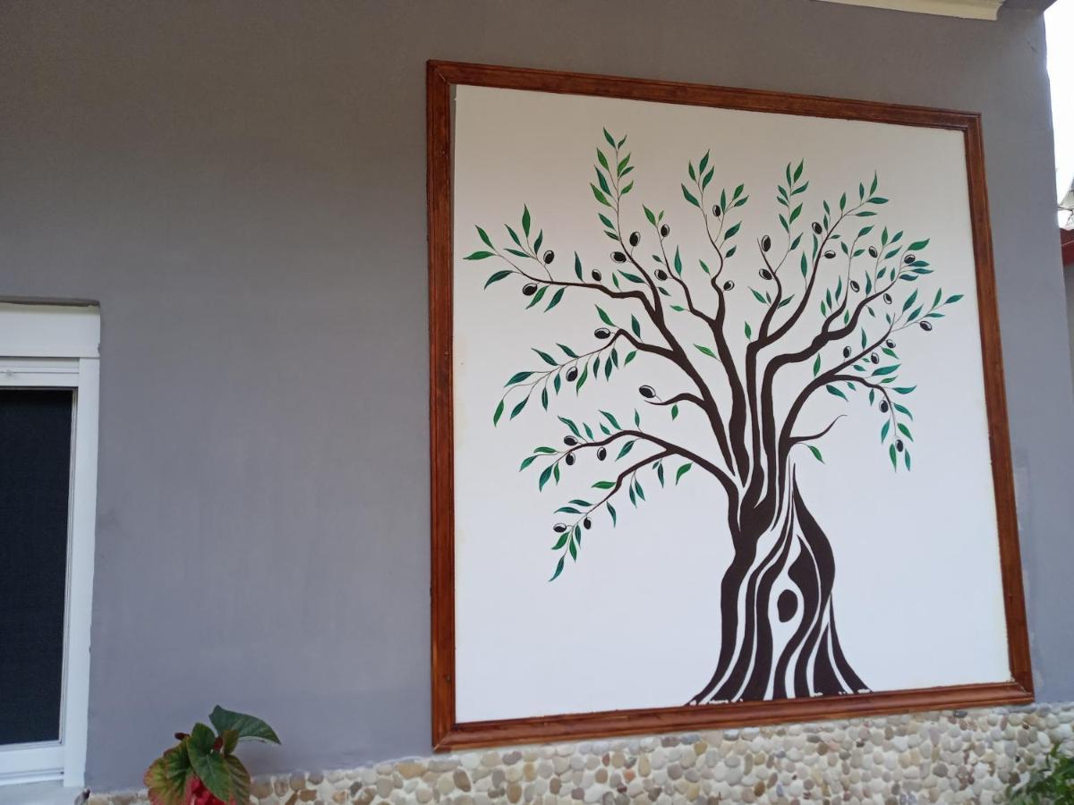 Olive Tree Villa Lygia  Exteriör bild